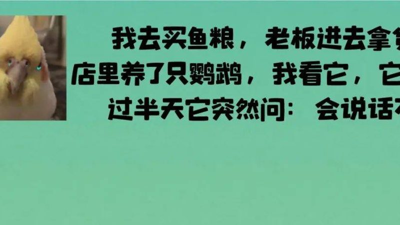 狗狗饼干与磨牙棒：揭秘宠物零食的差异化功能